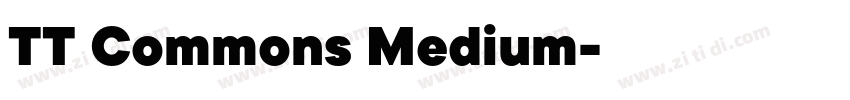 TT Commons Medium字体转换